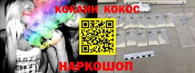 молекула духа Кингисепп