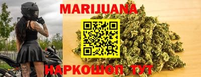молекула духа Кингисепп