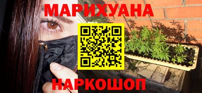 молекула духа Кингисепп