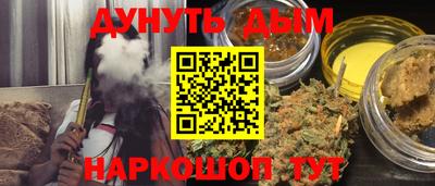 молекула духа Кингисепп