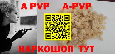молекула духа Кингисепп